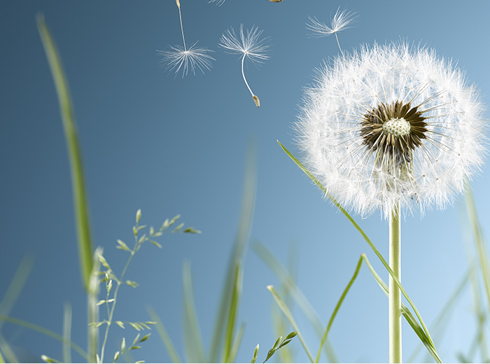 3003新葡的京的愿景